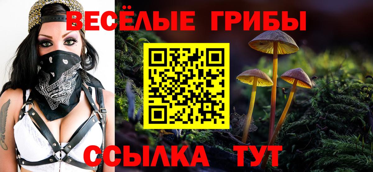 Галлюциногенные грибы Psilocybe Фролово