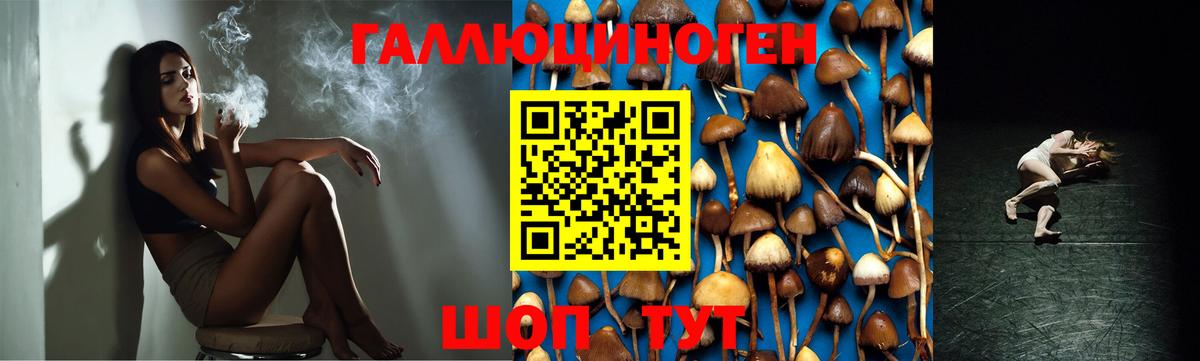 Фролово  Галлюциногенные грибы GOLDEN TEACHER  дарнет шоп  Вход с VPN 
